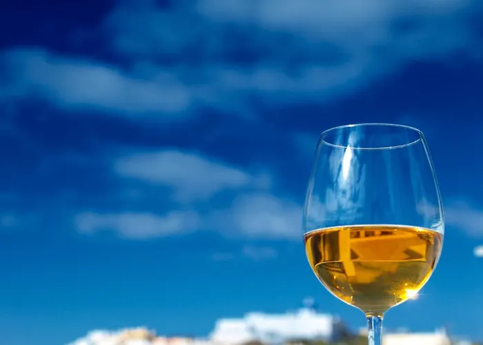 レヴリー サントリーニ 4*